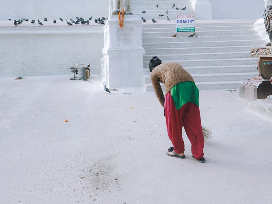 Woman in traditional attire sweeping a courtyard with pigeons and stairs in the background.