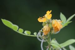 IMG_3481